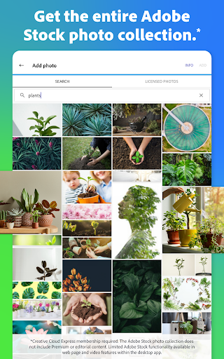 Adobe Express: AI Photo, Video