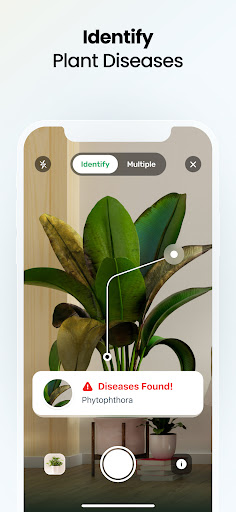 Plant App - Plant Identifier