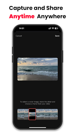 Bloom: Real Life, Real Videos