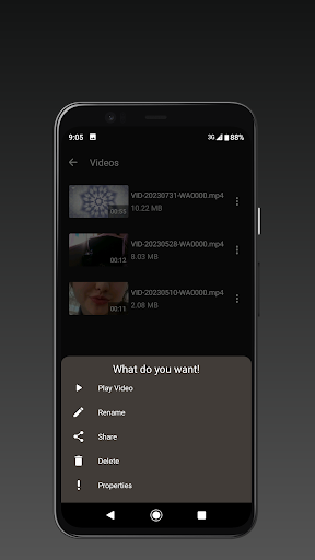 Berslex Video Player