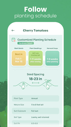 Blossom - Plant Identification