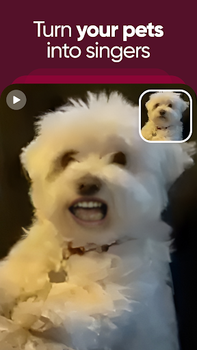 Revive: Animation & AI Photos