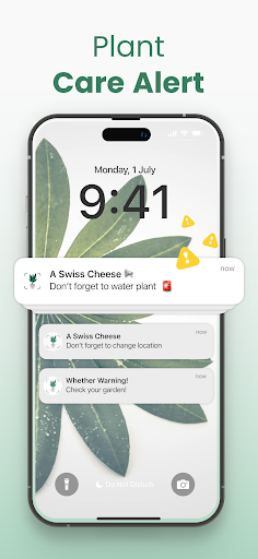 Plantify: Plant Identifier