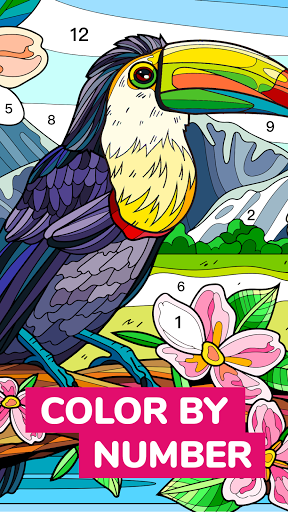 Calm Color - Color By Number