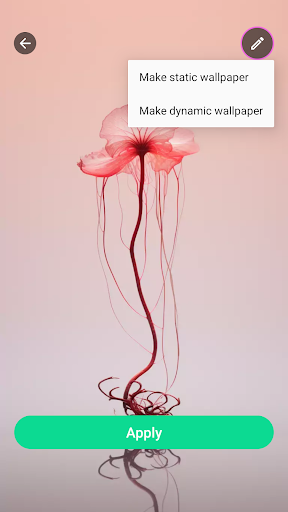 Cool Fonts Keyboard & Themes