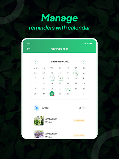 LeafSnap Plant Identification