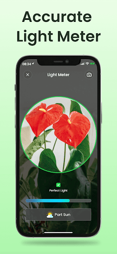 Plant Identifier App Plantiary
