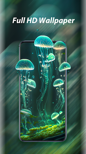 Daily Screen Wallpapers