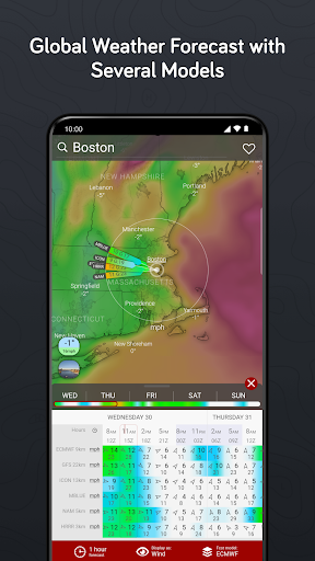 Windy.com - Weather Forecast
