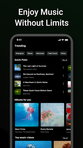 Offline Music, Music Player