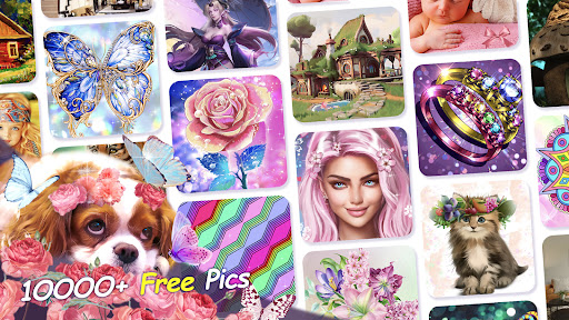 Fancy Color - Paint By Number