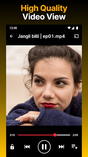 Video Downloader HD - Vidow