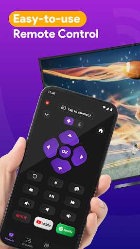 TV Cast: RokuTV Remote Control