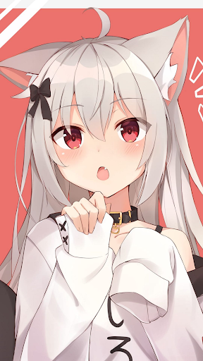 Wallpaper 4K, HD – Wallcraft