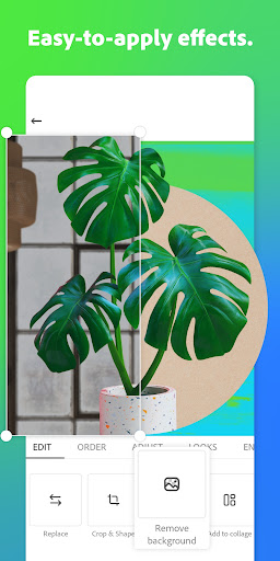 Adobe Express: AI Photo, Video