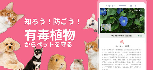 PictureThis - Plant Identifier