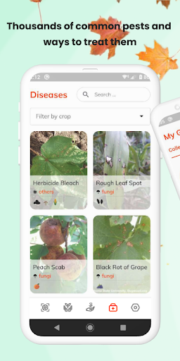 Plant App - Identifier & Care