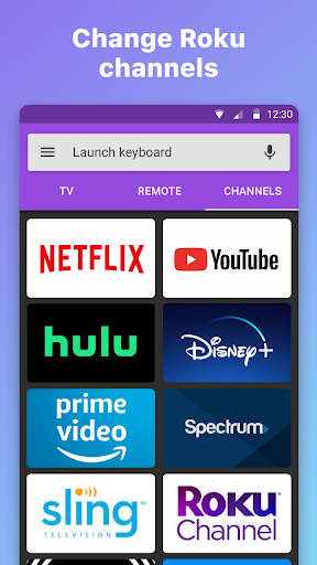 Roku Remote Control: RoByte