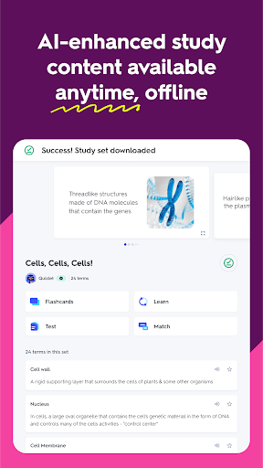 Quizlet: More than Flashcards
