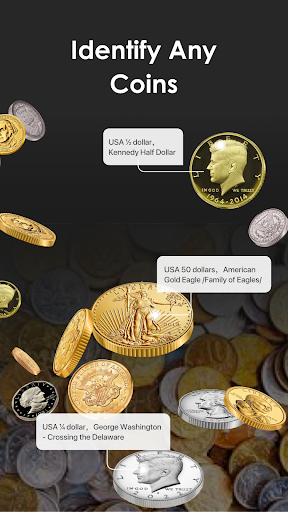 iCoin - Identify Coins Value