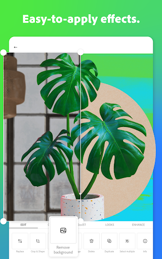 Adobe Express: AI Photo, Video