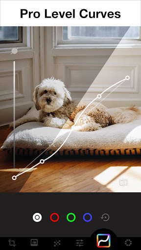 Photo Editor - Lumii