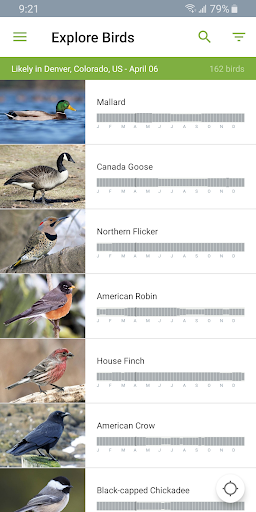 Merlin Bird ID by Cornell Lab