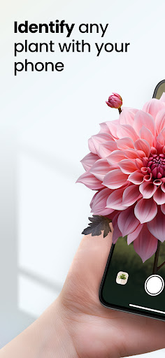 Plant App - Plant Identifier