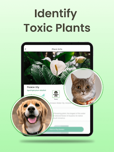 Plant Identifier App Plantiary