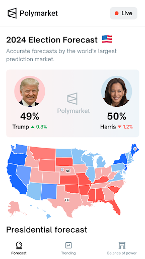 Polymarket: Election Forecast