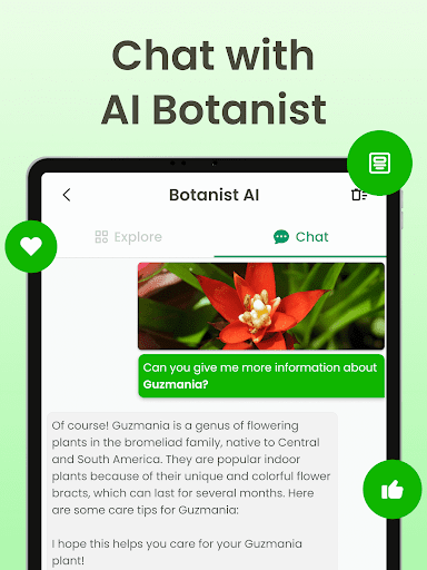 Plant Identifier App Plantiary