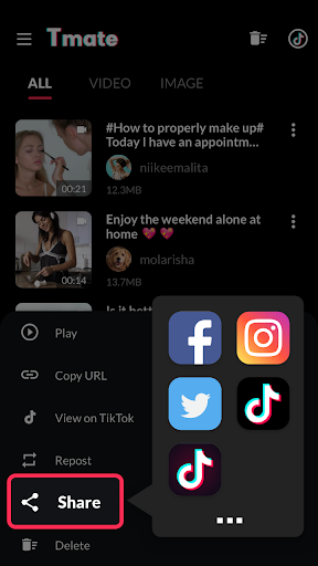 Downloader for Tiktok - Tmate
