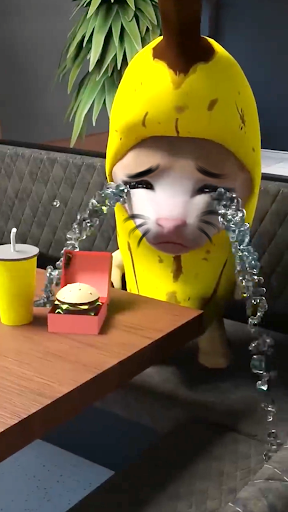 Banana Series - Cat Meme