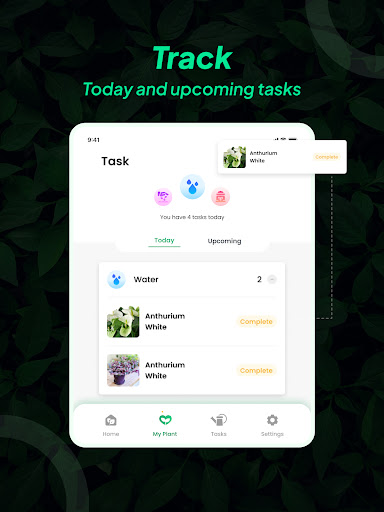 LeafSnap Plant Identification