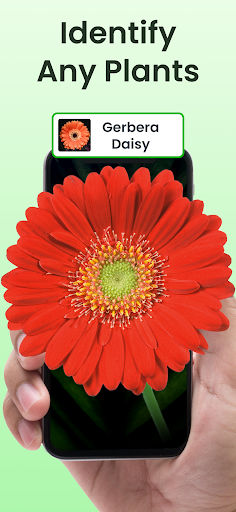 Plant Identifier App Plantiary
