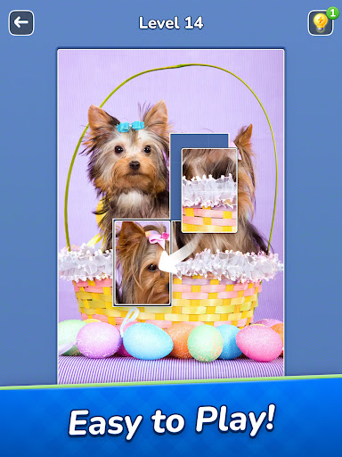 Jigsawcard Solitaire Puzzle