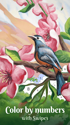 Color by Number - Colorswipes