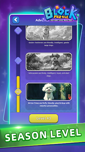 Block Puzzle:Adventure Master