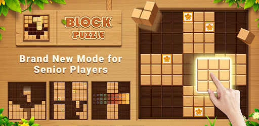 Wood Block Puzzle - Brain Game