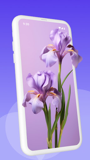 Wallpaper Store - 4K, 3D, Live