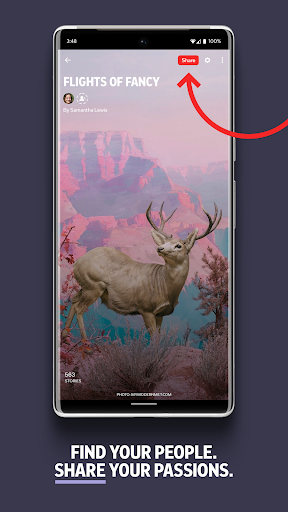 Flipboard: The Social Magazine