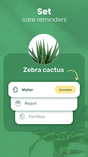 Blossom - Plant Identification