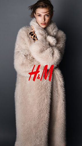 H&M