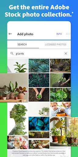 Adobe Express: AI Photo, Video