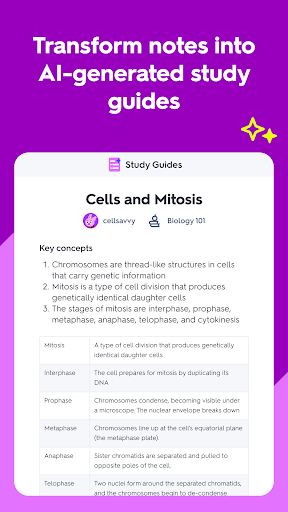 Quizlet: More than Flashcards