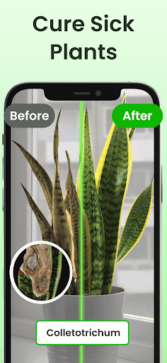 Plant Identifier App Plantiary