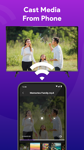 TV Cast: RokuTV Remote Control