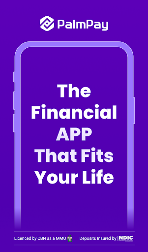 PalmPay - Transfers, Bills