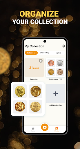 Coin Identifier - Coin Value