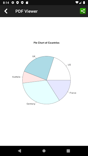 R Programming Compiler